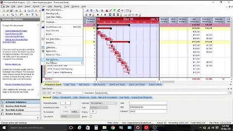 C P M -Risk analysis Project assignment for Skyfi Labs Online Course by Anuradha V Bhat