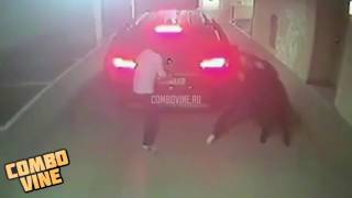 Combo Vine 974