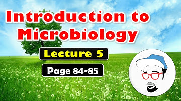 Introduction to microbiology, Class 10 SSC || Lecture 5 || Maharashtra state board