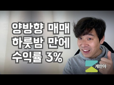   투자13 하룻밤의 꿈 코인 양방향 매매 전략 수익 공개