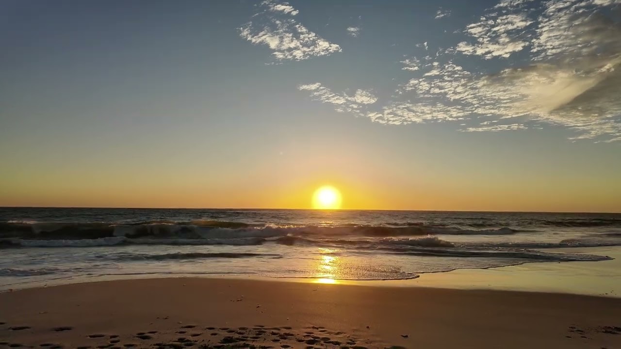 Yanchep Dog Beach 20 January 2026 #2
