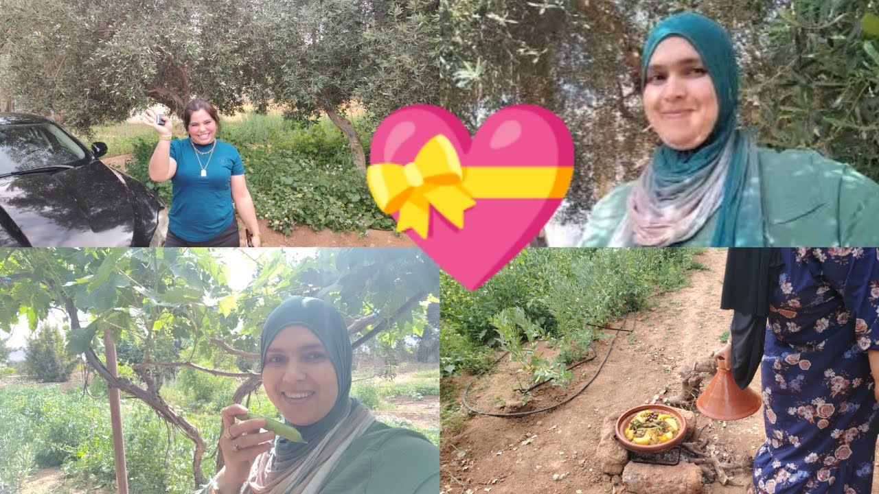 راحة نفسية ام أدام كترحب بي الجميع دار الكبيرة