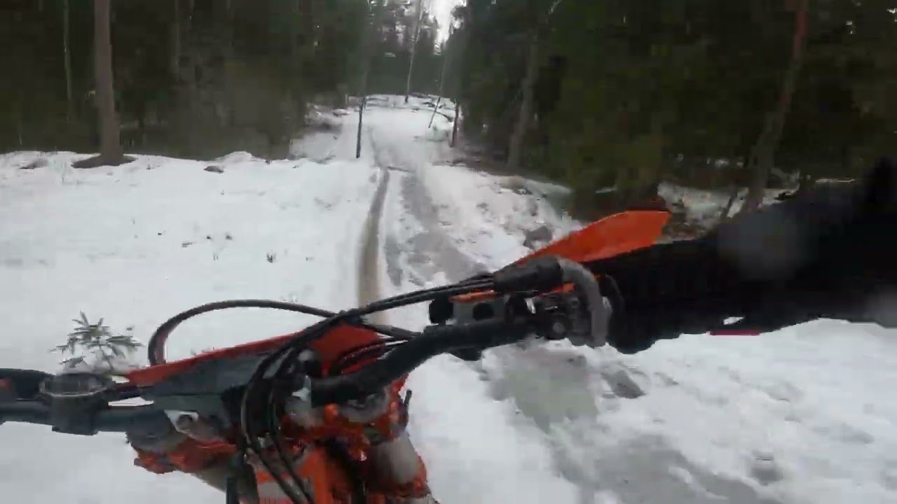 Annivaara Päitsi 2026 maastokoe 26