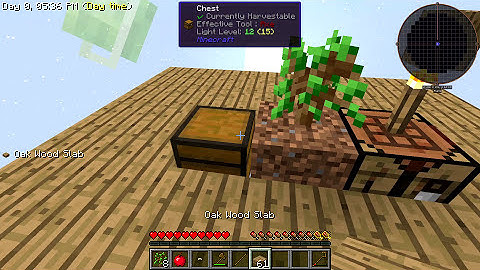 SkyFactory 2.5 : Twerk - Ep 1