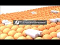 Samsung Logo Balls In RGB To BGR FIXED 