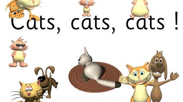 Cat, Cats, Cats - SSP Purple Code Level Reader, Rap, and Poems