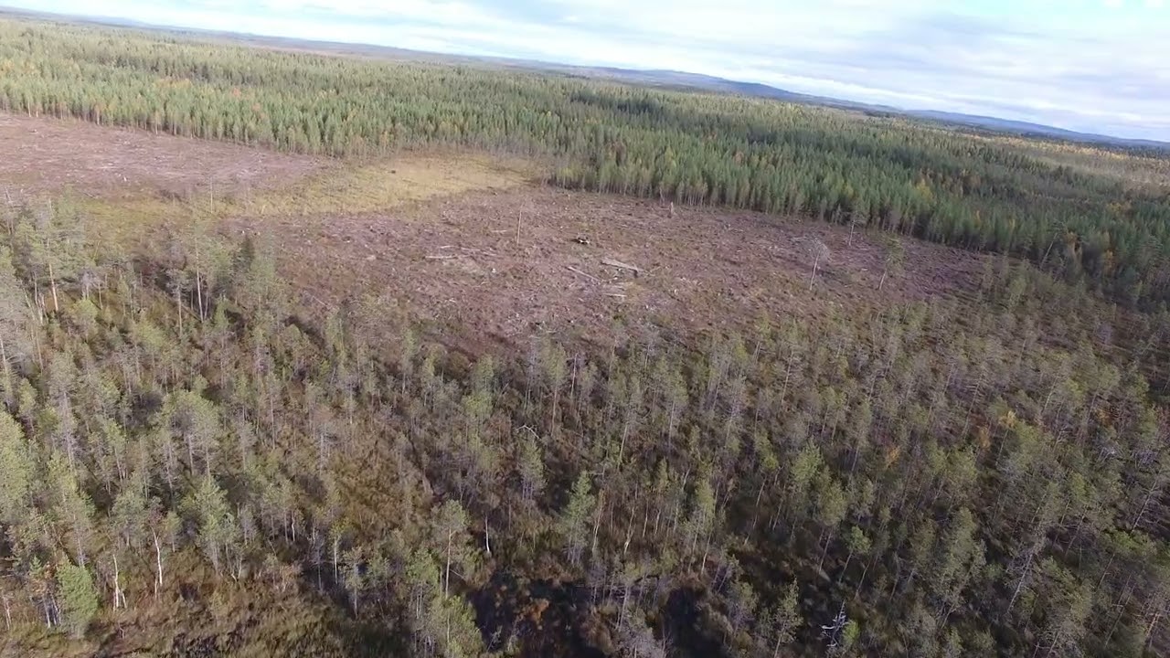 Kolari Kattilamaa takaa 9 2025