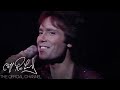 Cliff Richard - I&#39;m No Hero (Cliff in London 1980)