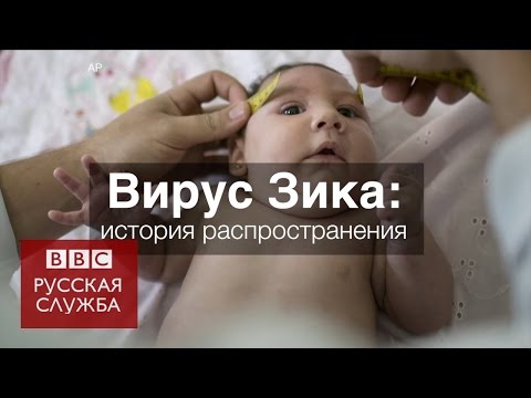 Video: Budući Razvoj Biosenzora Za Dijagnostiku Virusa Zika Na Terenu