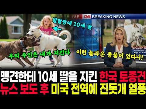 한국의 토종견 진돗개가 미국 전역에 대유행. 오직 주인만을 지키는 충직한 진돗개가 미국인 취향저격ㅣ시니어오디오북ㅣ감동사연ㅣ해외감동사연ㅣ로맨스 l AI 드라마