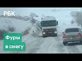 Федеральная трасса под Волгоградом встала после снегопада. В пробке оказались сотни автомобилей