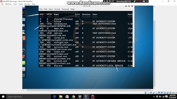 Using Metasploit Keylogger (used ms08_067_netapi exploit)