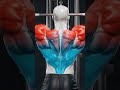 Shoulder and upper back workout #gym #shoulderpresses #fitness