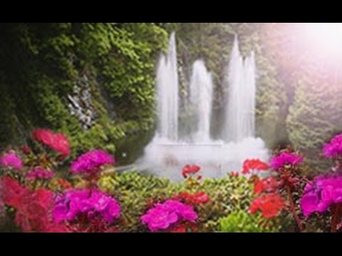 2h15 Musique Relaxation Bien Etre Frantz Amathy Spa Zen Relax Relaxing Music Nature Background Youtube 2h15 Musique Relaxation Bien Etre Frantz Amathy Spa Zen Relax Relaxing Music Nature Background Youtube