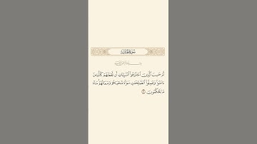 سورة الجاثية: الآية 21 #قرآن #قران_كريم #quran #سورة_الجاثية
