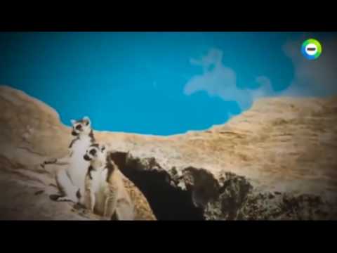 Video: Velykų Sala - „Žemės Bamba“- Lemurijos „artefaktas“- Alternatyvus Vaizdas