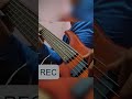 Eu sou teu pai,forró no baixo, cover @BandaSomeLouvor #bassplayer  #cover #forró