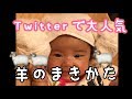 Twitterで大人気！ひつじ巻きの作り方♪