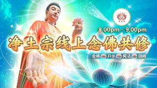 【同步】净土宗线上念佛共修暨法师开示【第2350天】+ 开示视频《认清佛法》24-08-2026 Online Session(晚上8pm-9pm (GMT+8))【打开CC字幕】
