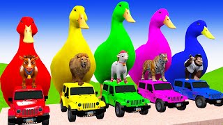 Long Slide With Cow Elephant Gorilla Hippopotamus 3d Animal Game Funny 3d Animals