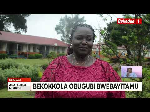 Agataliikonfuufu: Abakulira amasomero ku bizinga balajaana Beekokkodde amafuta agali waggulu ate n