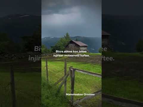Mammaaksa Oromoo Afaan Oromo Afaan Oromoo Afaanoromo Languagelearning