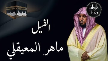 ماهر المعيقلي من الحرم المكي - سورة الفيل (مُرتَّل)