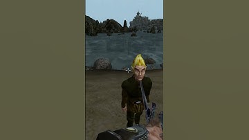 Killing the adoring fan in Morrowind every day until Skywind and Skyblivion are released Day - 957