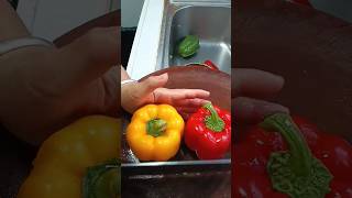 Capsicum cutting technique#farmlife #satisfying #farming #automobile #vegetables #villagelife