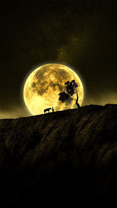 No Copyright Video Background | Royalty Free shock Islamic Footages(2)