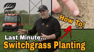 How To Plant Last Minute Switchgrass