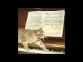 my sleep paralysis demon is a cat that plays the harpsichord