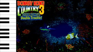 Water World (Donkey Kong Country 3) On Piano