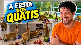 Vídeos pra ver antes de brigar!