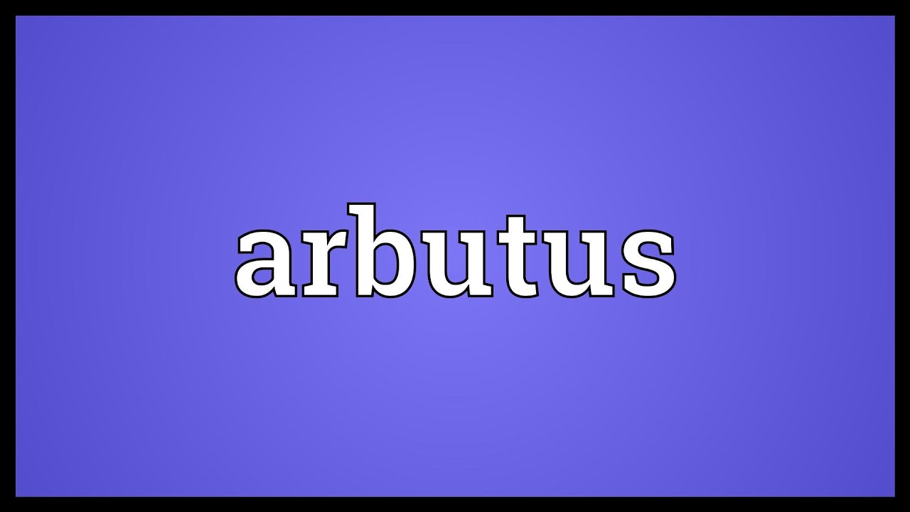 Arbutus Meaning