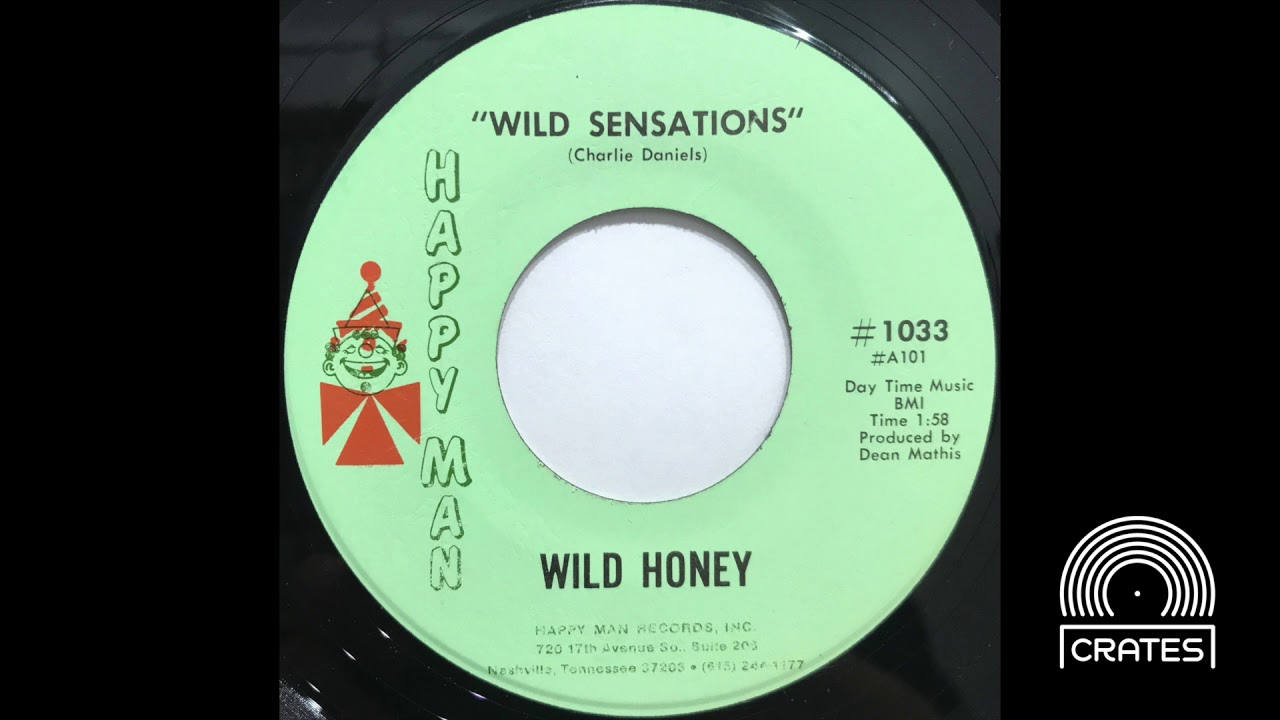 Wild Honey - Wild Sensations (Rare Funky Mod Soul Rocker Vinyl Rip)
