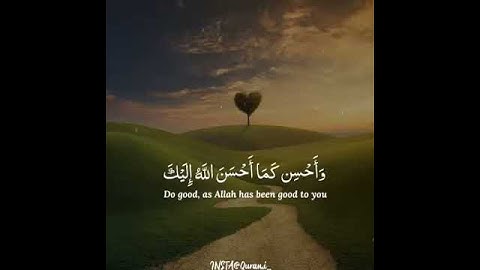 قران كريم يعيد لك الامل في حياة لايوجد فيه سوى الياس ☺🛌📢❤