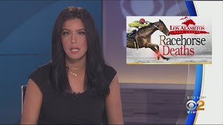 24th Horse Dies This Year At Los Alamitos Race Track Following Injury