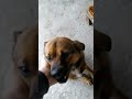 video 1637246150