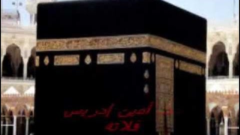 د. أمين إدريس فلاته {المعارج ونـوح} برواية الدوري1433