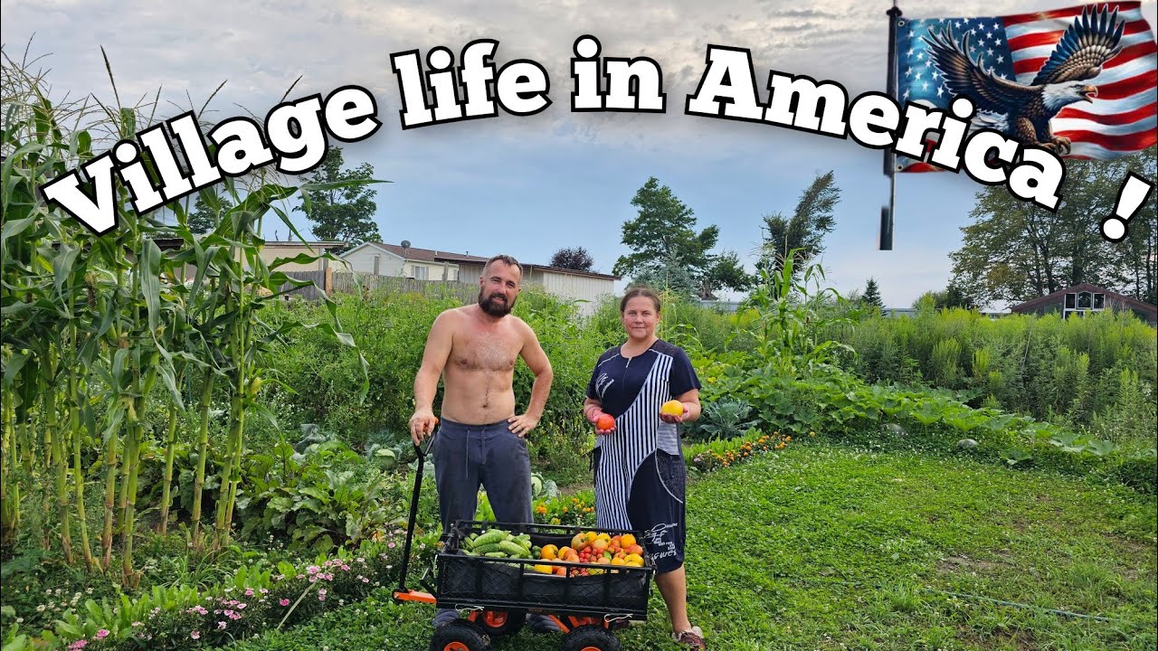 ВЫЖИТЬ В США ЛЮБОЙ ЦЕНОЙ !!! 