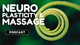 Neuroplasticity & Massage - How Bodywork Breaks the Pain Cycle