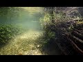 Подводная съёмка на реке Воронеж. Voronezh river underwater video