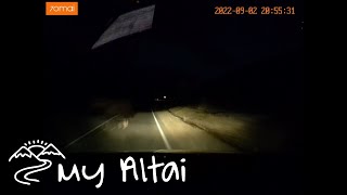 Вот почему не нужно путешествовать по Горному Алтаю в темное время суток...
