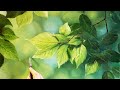 The green leaves | Realistic Oil Painting