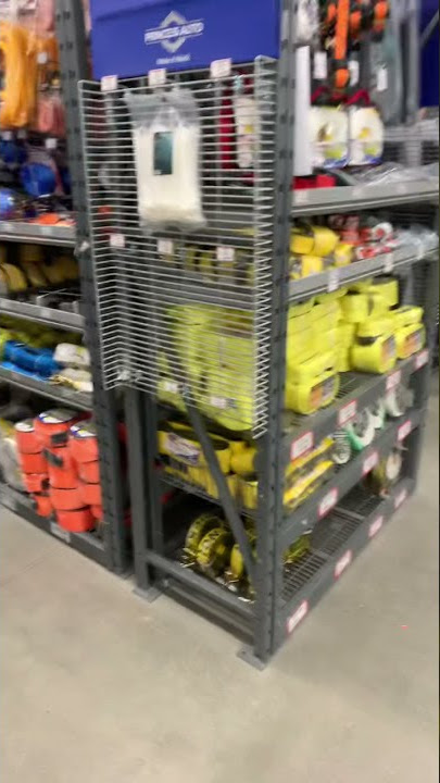 PrincessAuto #Shorts