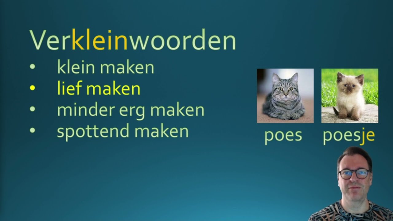 Verkleinwoorden ‐ #learndutch #nederlandsleren #nt2