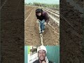 Trending Sugarcane Planting Moment! | আধুনিক পদ্ধতিতে আখ লাগানো হচ্ছে 🌱🚜 #shorts #tech #fun #facts