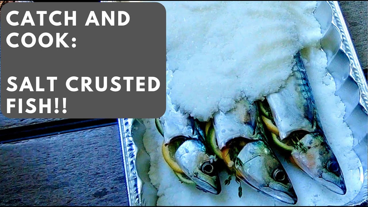 Salt Crusted Fish Cooked Over The Campfire!! (Catch and Cook) YouTube