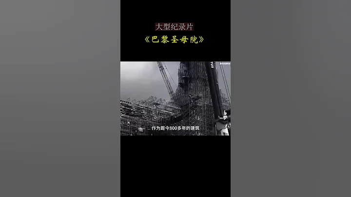 大型纪录片《巴黎圣母院》中国基建速度#shorts #记录真实生活 #china #巴黎奥运 #巴黎 - 天天要闻